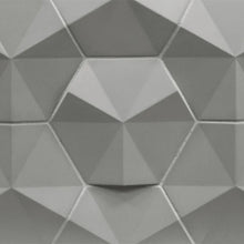 Load image into Gallery viewer, Intersect 3D Hex
