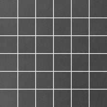 Load image into Gallery viewer, Picasso (Floor)
