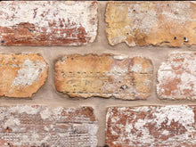 Load image into Gallery viewer, Reclaimed Brick
