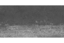 Load image into Gallery viewer, Transitions
